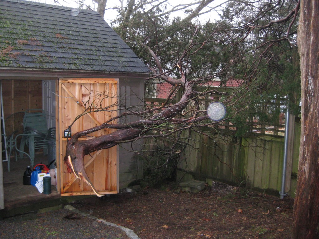 Do You Believe In Angels or Divine Helpers